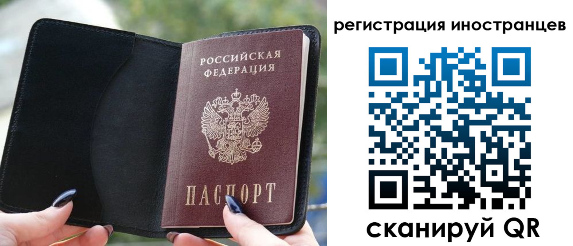 найти адрес прописки в Камчатском крае
